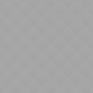 06 Develop good governance practices